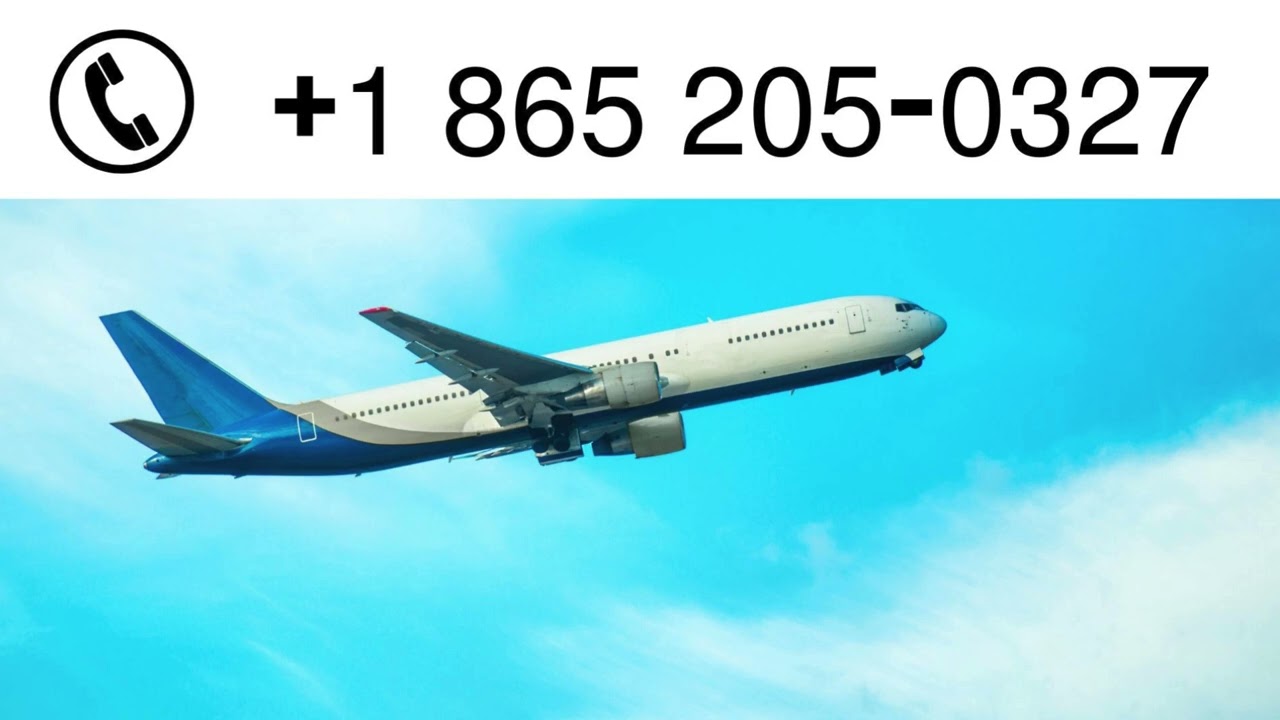 1761697834 Maxresdefault.jpg