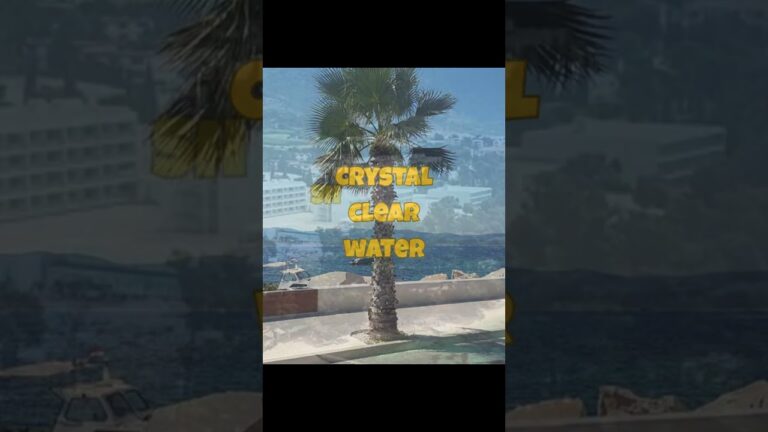 1776593821 Maxresdefault.jpg
